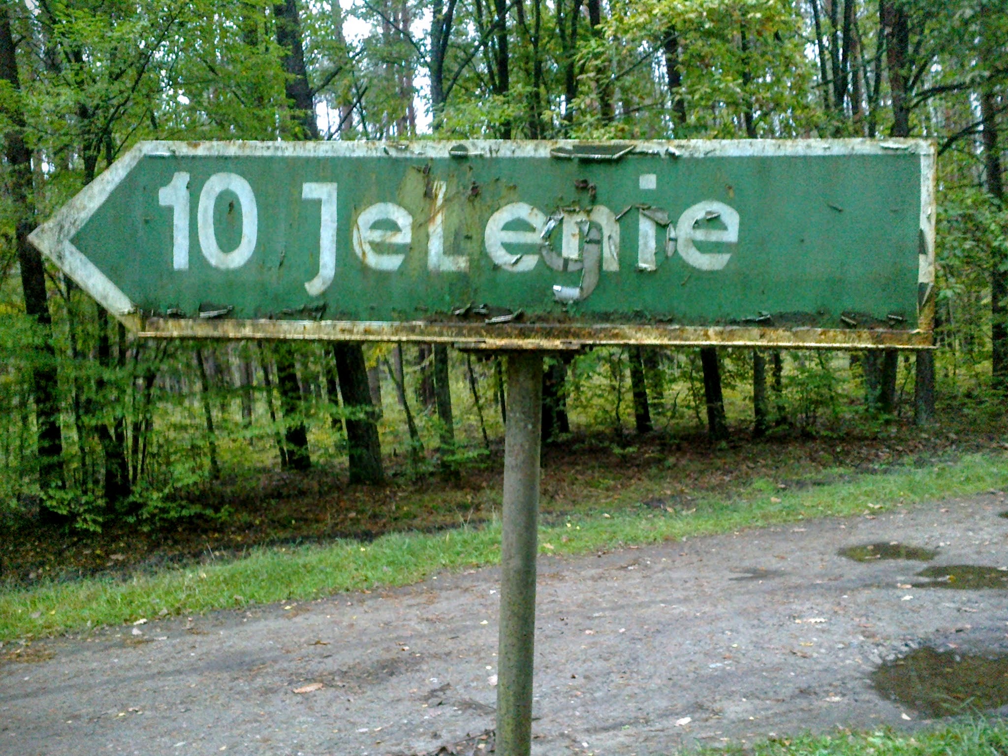 Miejscowość Jelenie